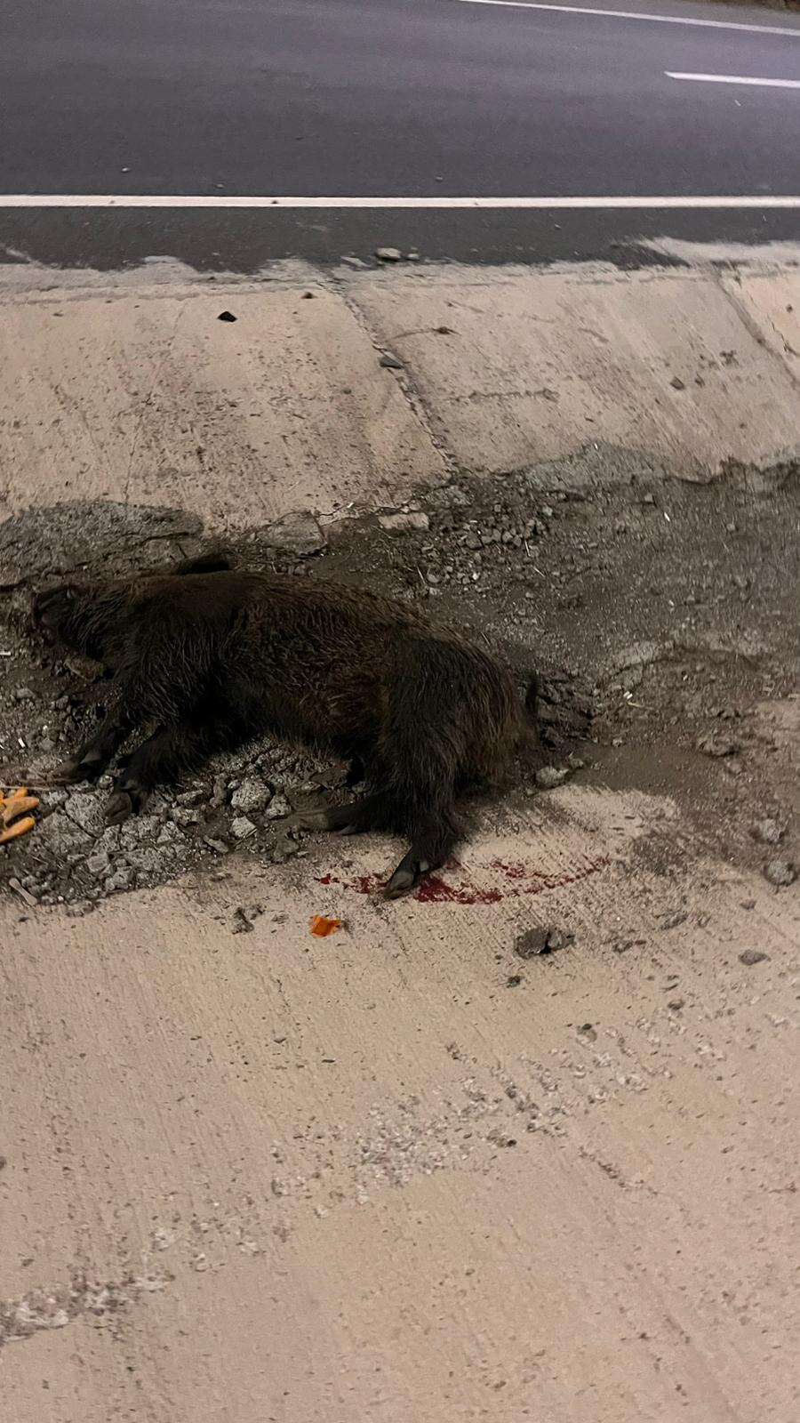 Konya’da korkunç kaza! Ersin Öksüz hayatını kaybetti 2